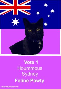 Hoummous, Feline Pawty Candidate for Sydney